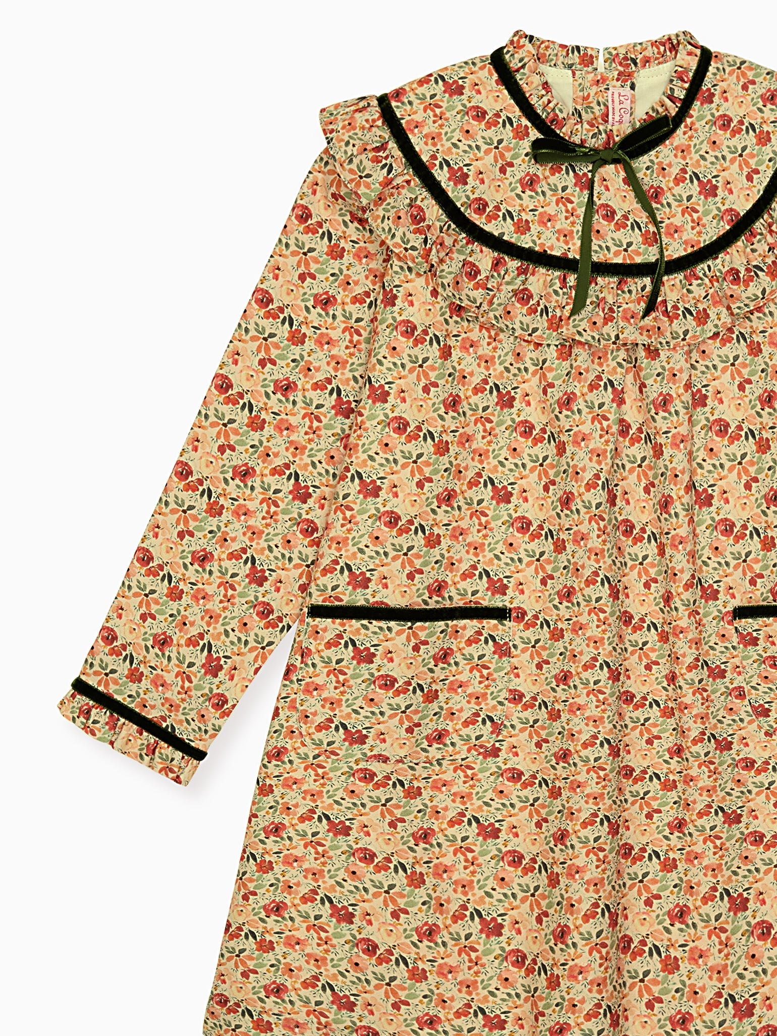 Terracotta Floral Alita Girl Empire Dress