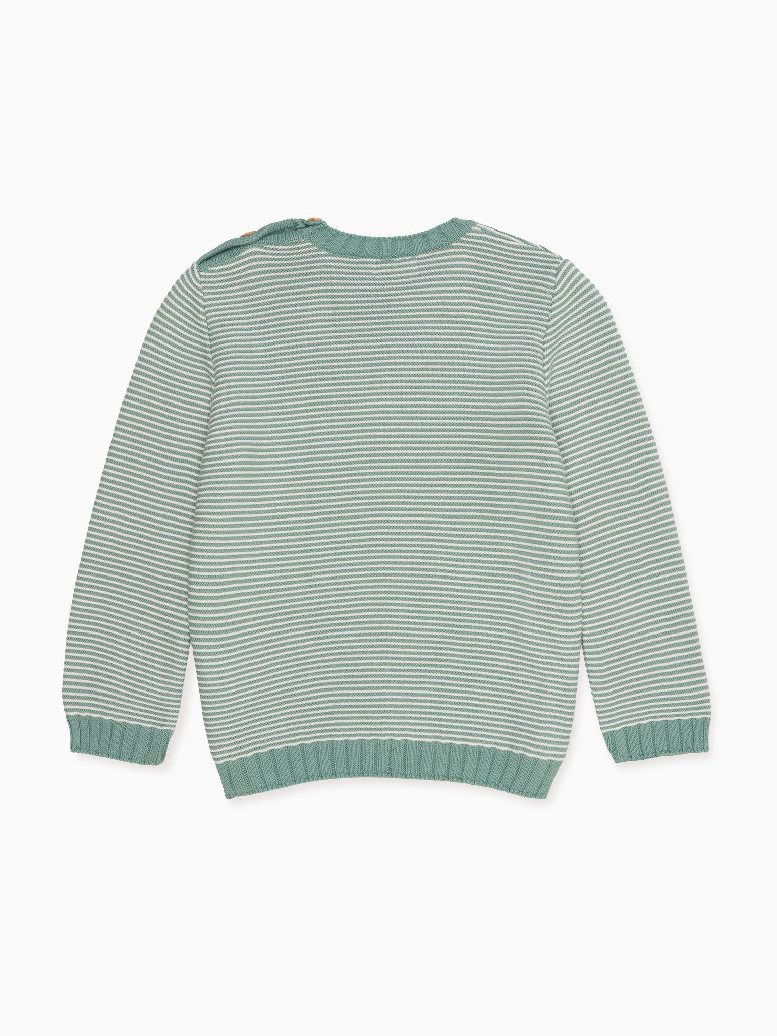 Sage Green Bromo Boy Cotton Sweater