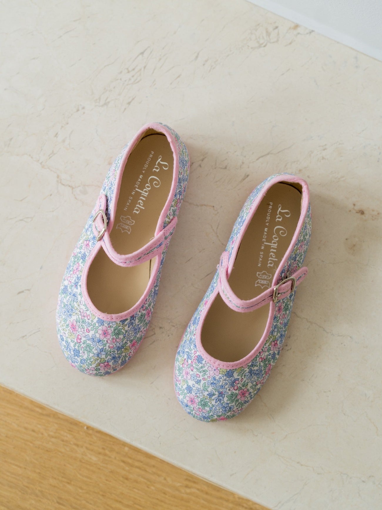 Light Blue Floral Canvas Girl Mary Jane Shoes