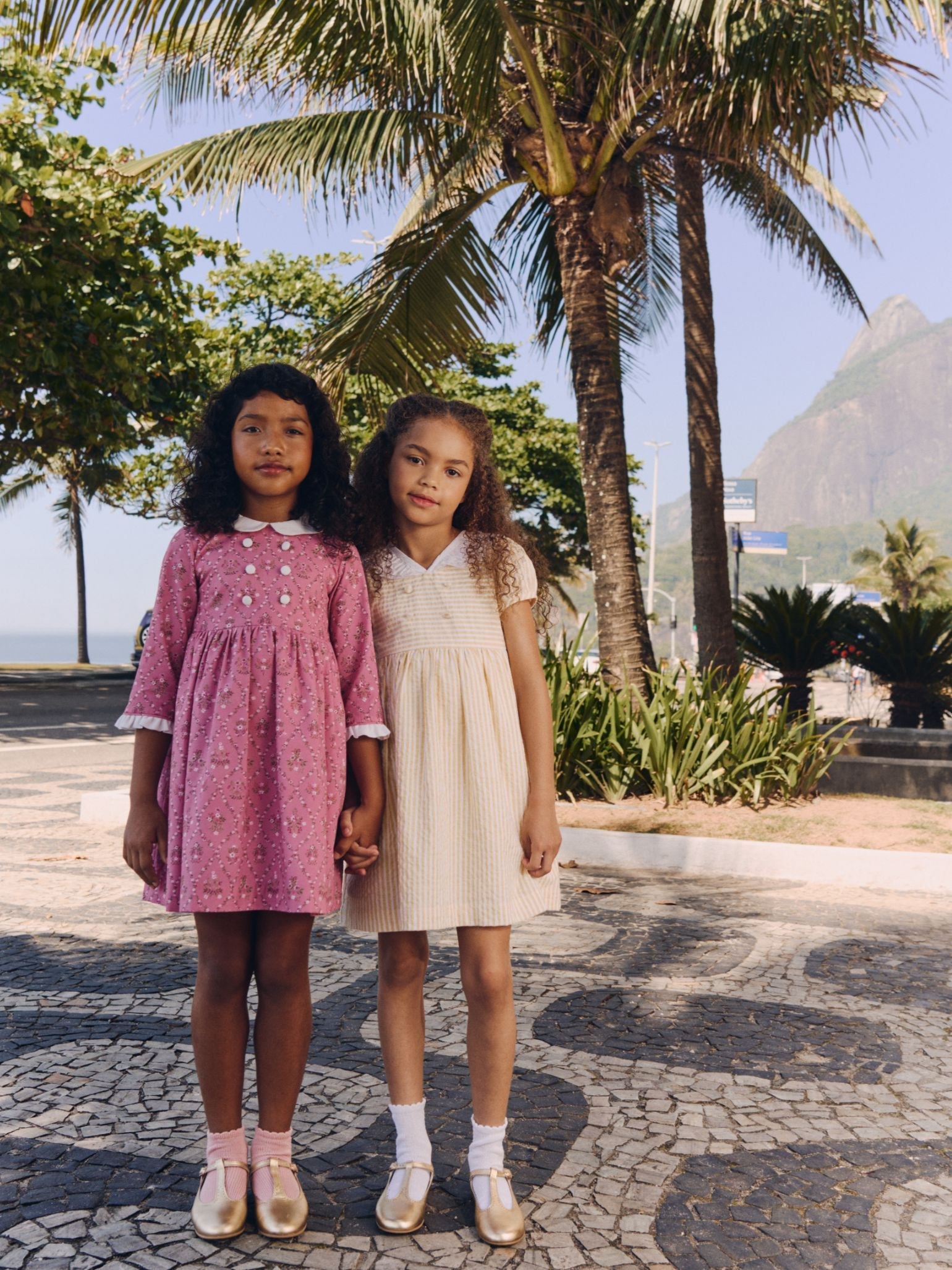 Pink Garland Trellis Provenza Girl Dress