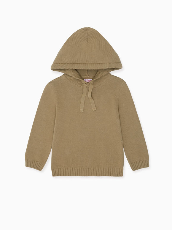 Olive Leo Boy Cotton Sweater