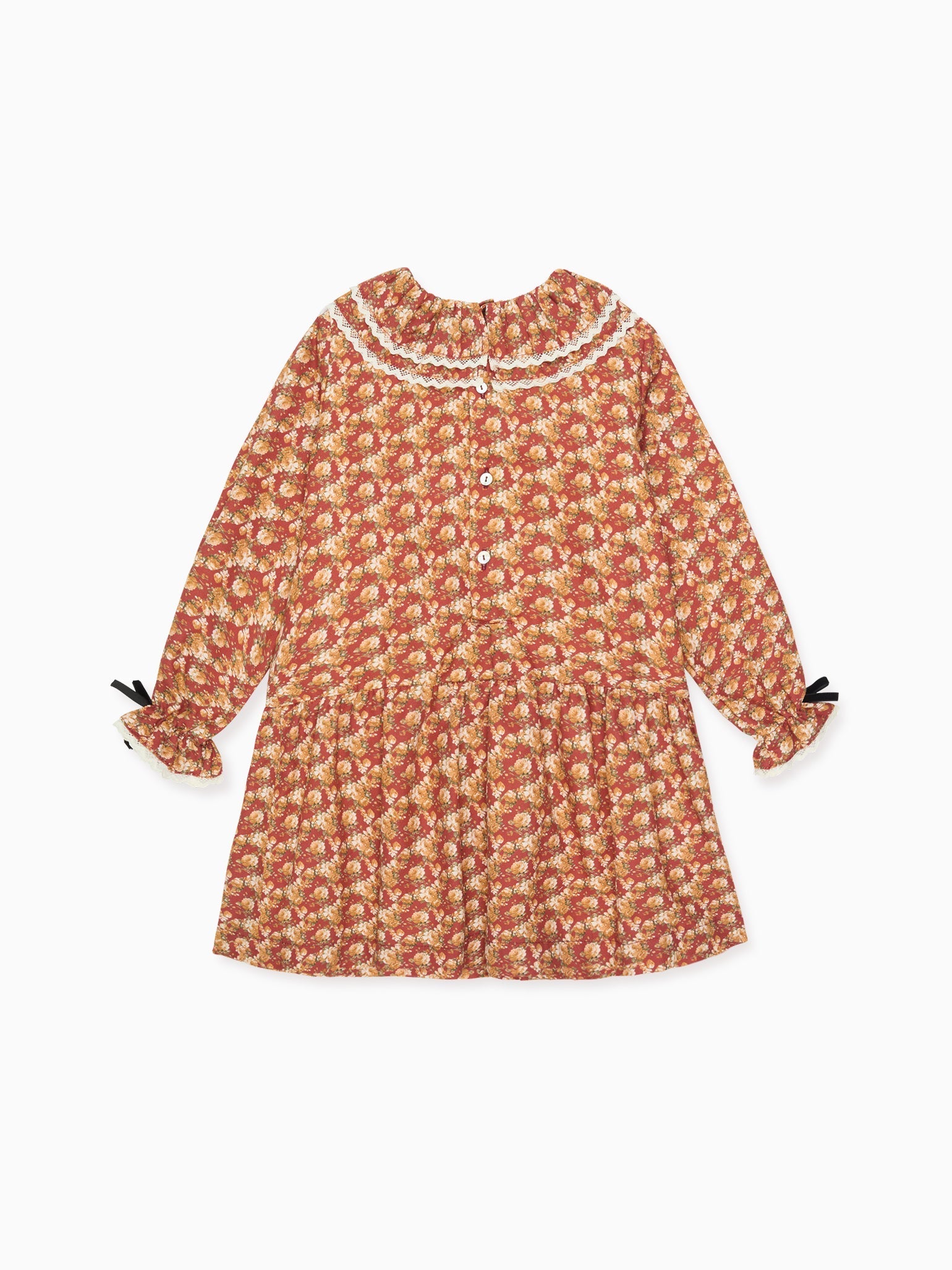 Terracotta Floral Lorena Girl Drop Waist Dress