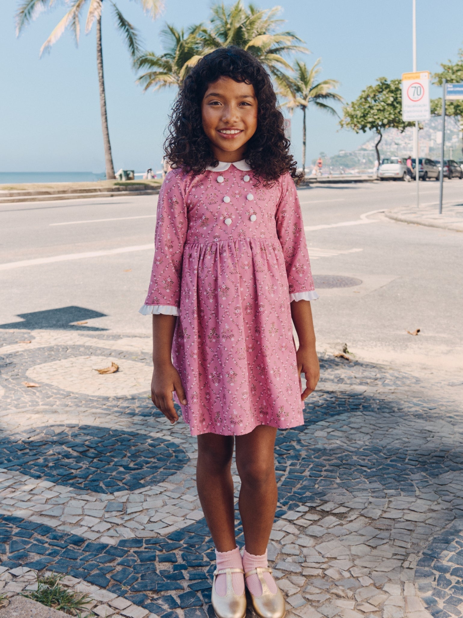 Pink Garland Trellis Provenza Girl Dress