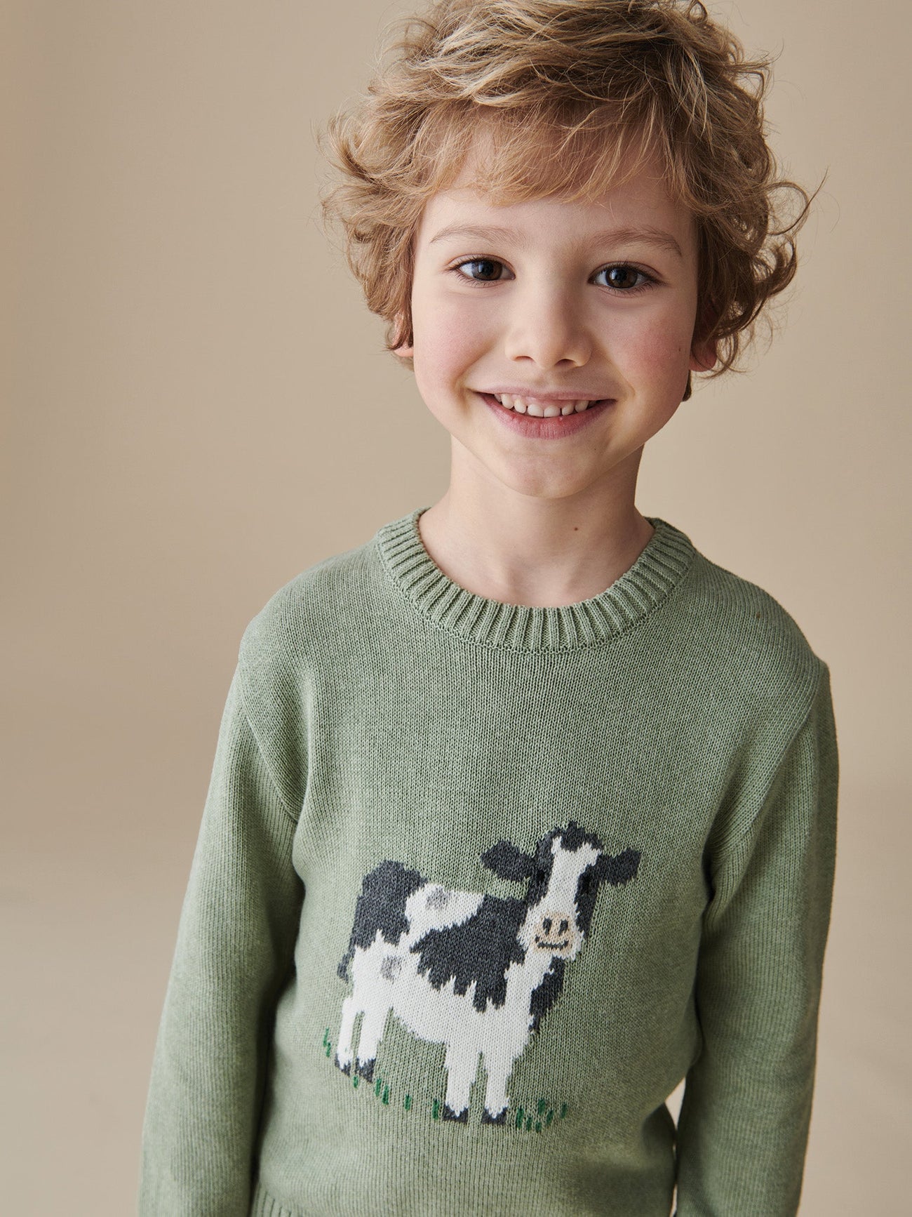 Sage Berto Cotton Boy Jumper