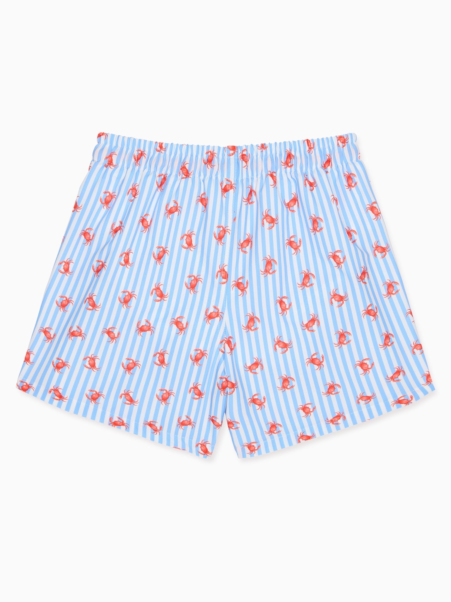 Blue Stripe Bravo Boy Swim Short