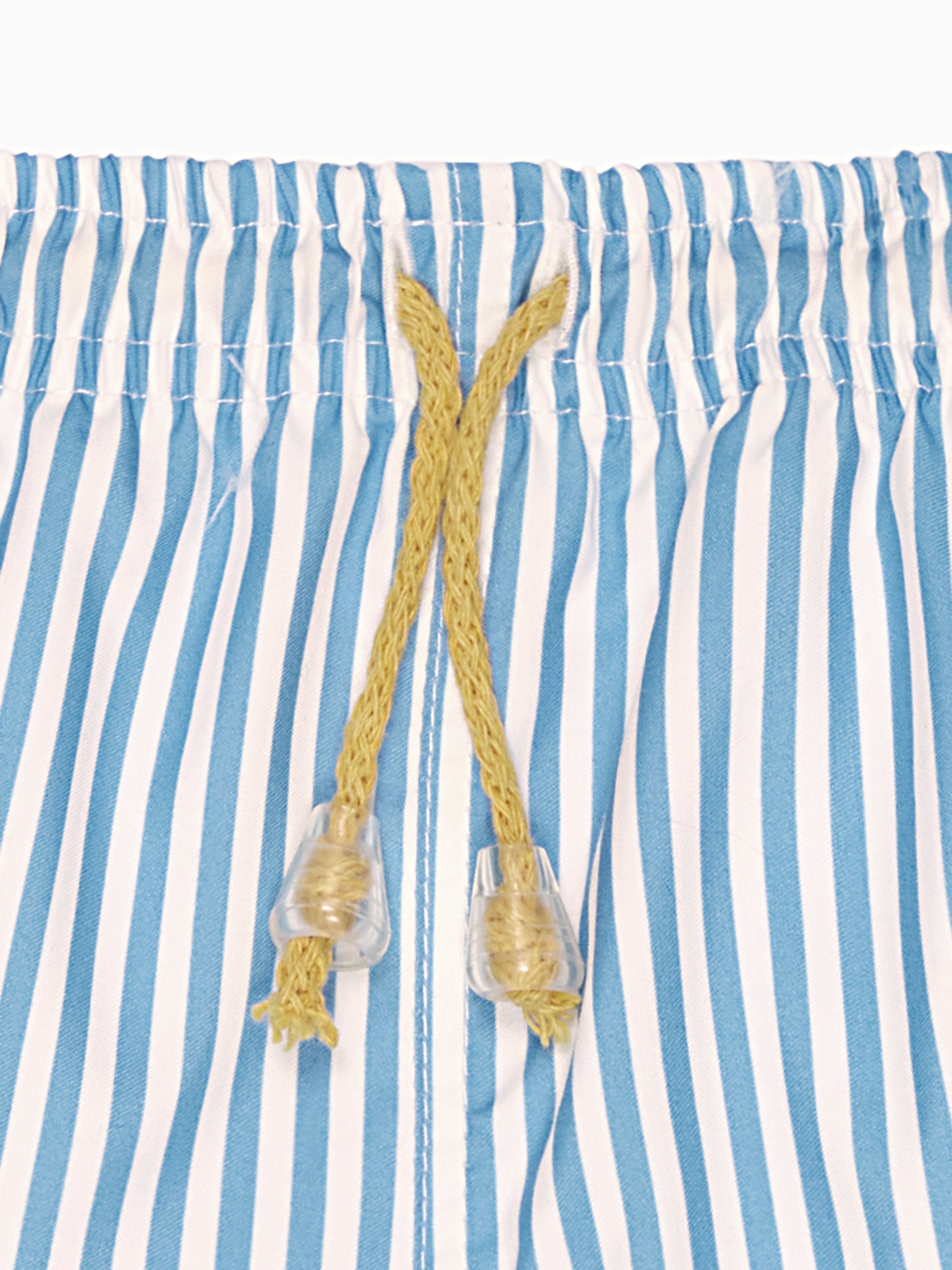 Blue Stripe Bravo Boy Swim Shorts