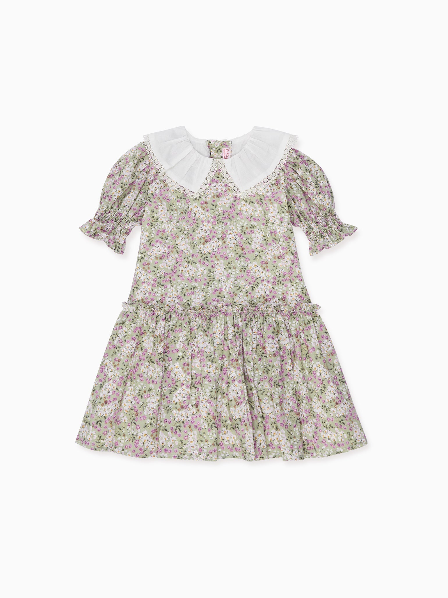 Green Floral Izara Girl Drop Waist Dress – La Coqueta Kids