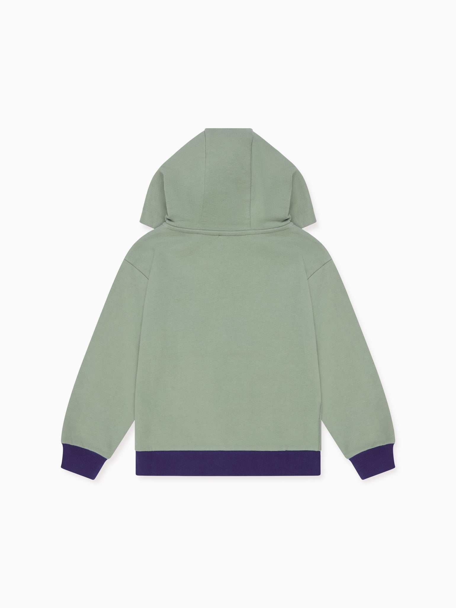 Dusty Sage Luca Boy Hooded Sweatshirt