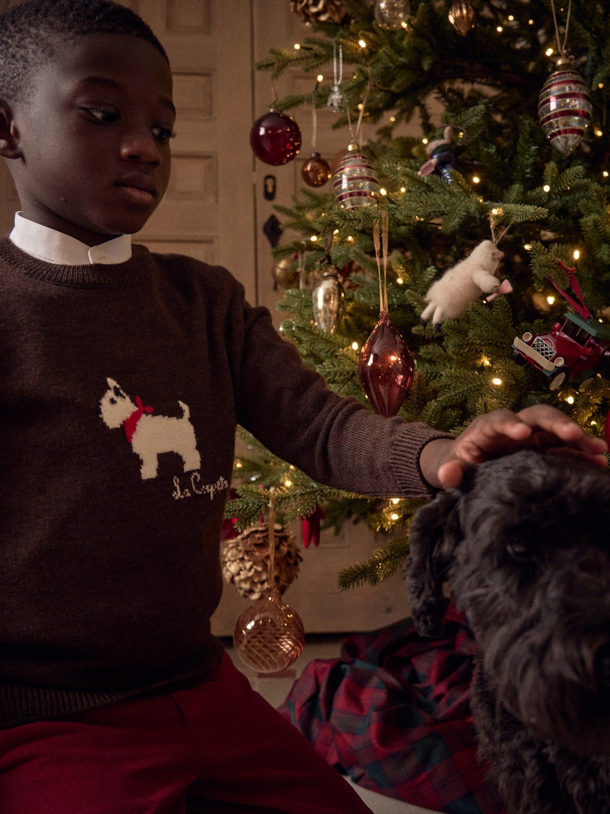 Chocolate Patricio Merino Kids Jumper