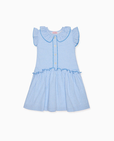 Blue Gingham Fabiola Girl Drop Waist Dress