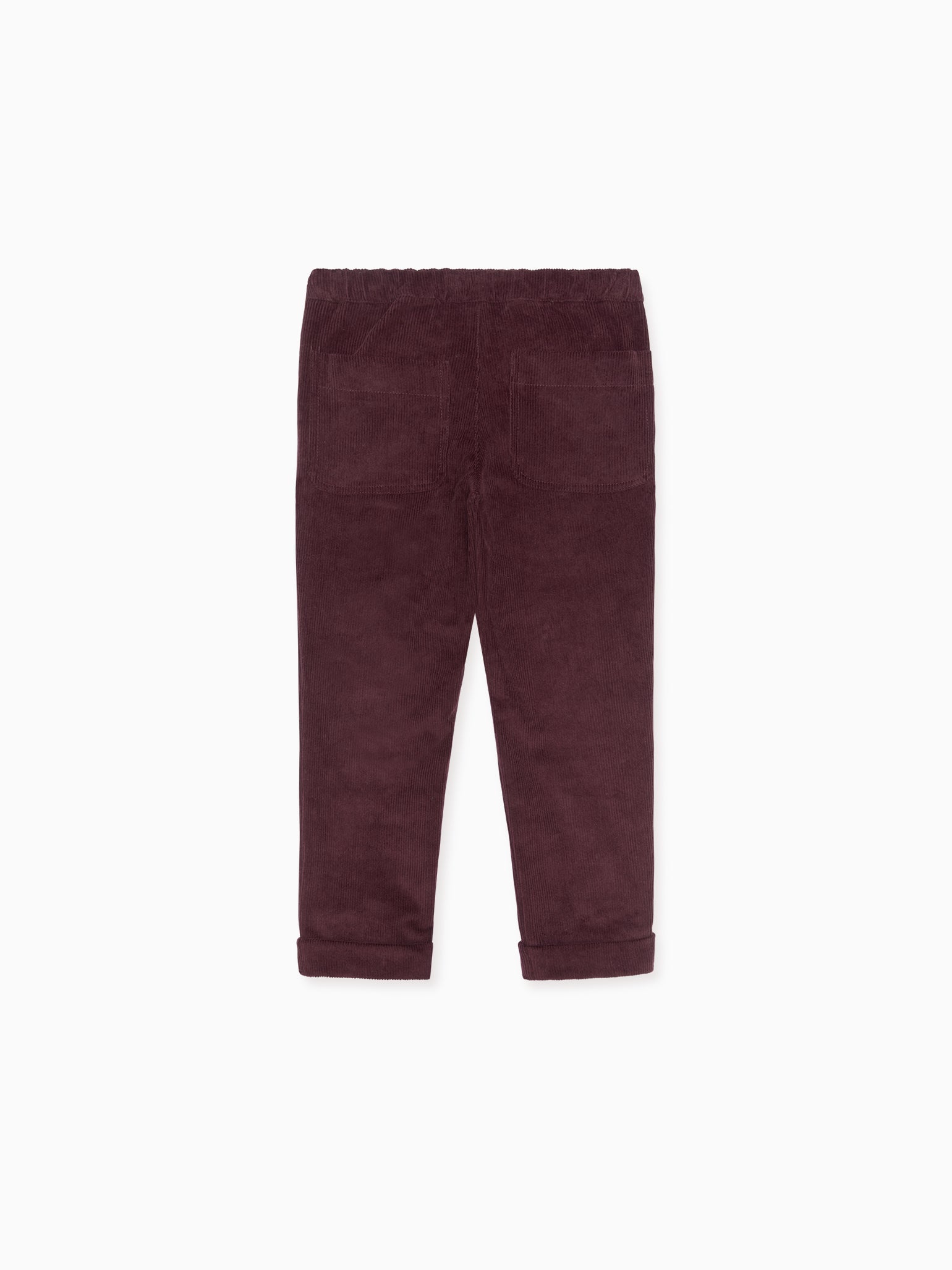 Burgundy Benito Boy Pants